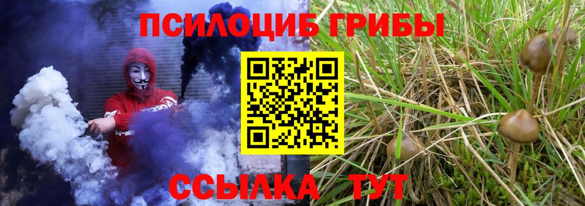 Рязань  купить наркотик  Псилоцибиновые грибы Magic Shrooms  Вход с VPN  Галлюциногенные грибы прущие грибы 