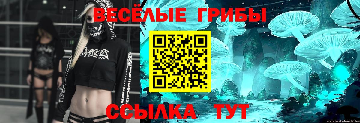 Псилоцибиновые грибы GOLDEN TEACHER Рязань